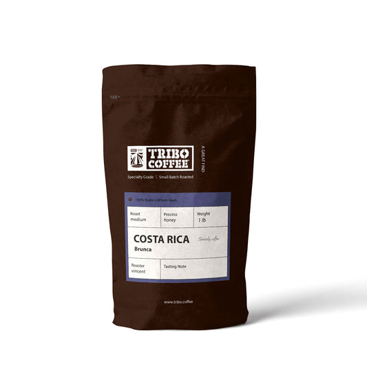 Tribo Coffee Costa Rica Brunca 100% Arabica Beans Roasted Coffee beans 450g